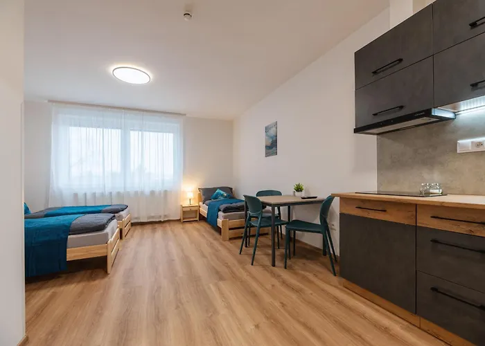 Apartmany Dalesice Appartement *