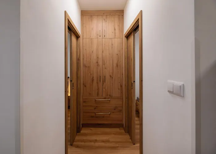 Apartmany Dalesice 公寓