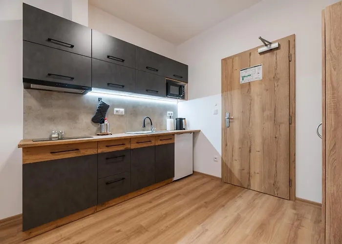 Apartmany Dalesice Appartement *