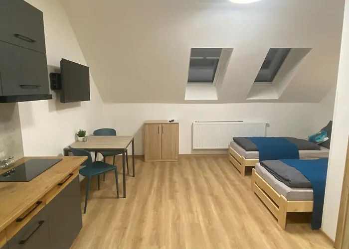 Apartmany Dalesice 公寓